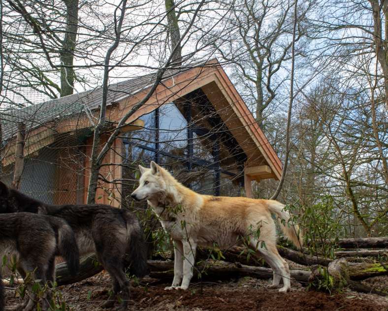 Margaux C  Hébergement insolite - Yukon lodges
