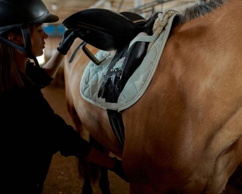 Photo de Sergey Makashin pour Pexels Centre équestre le haras de Diane