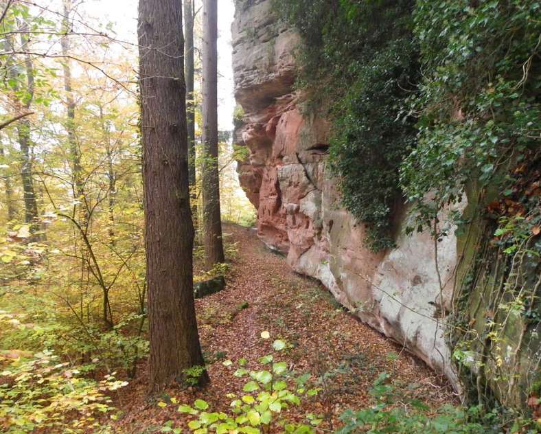 Céline Chall - OTIPB  Le château du Grand Arnsbourg