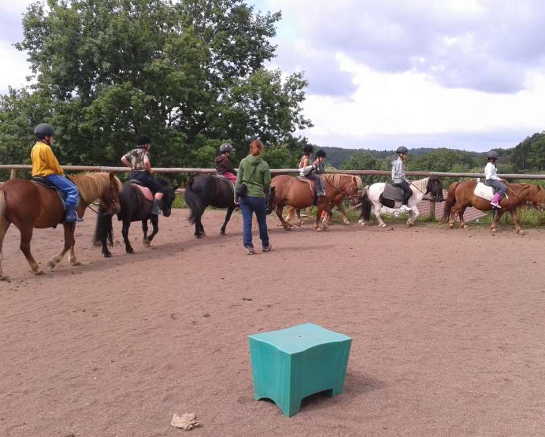 Sandra Daentzer Au bonheur équestre