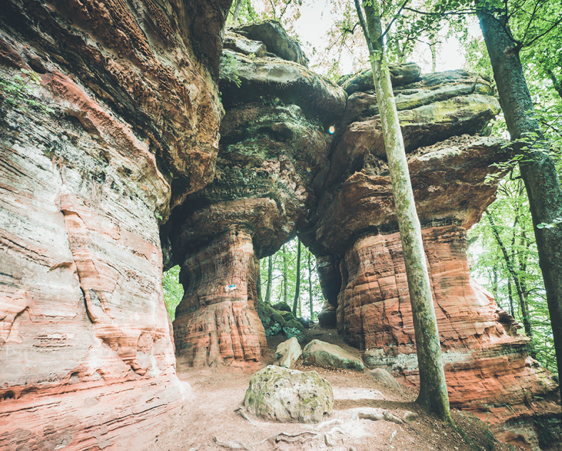 © Little Gypsy  Rocher de l'Altschlossfelsen