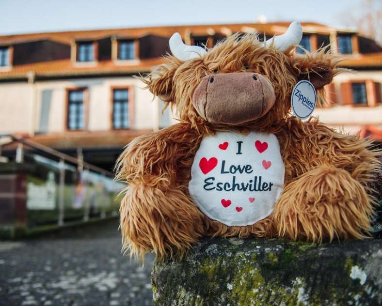 Communauté de Communes du Pays de Bitche.  La boutique du moulin d'Eschviller