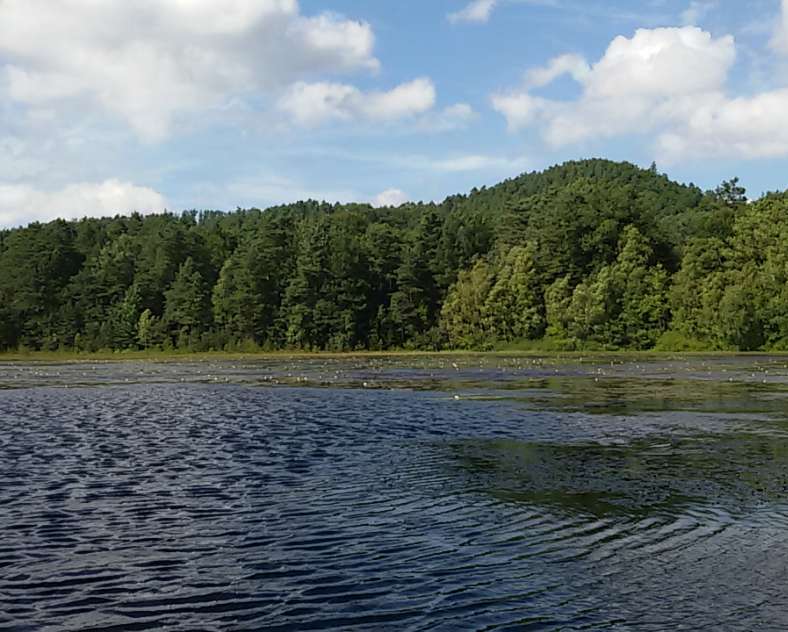 OTIPB  Étang de waldeck - réserve naturelle