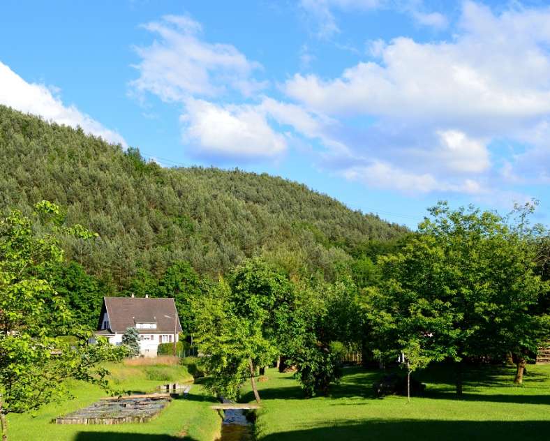 Gîte de l'écureuil  Gîte de l'écureuil