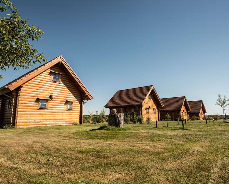 GÎTE DU RANCH DES BISONS 056