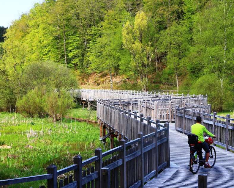 Globetrekkeuse Les pistes cyclables du pays de Bitche : Walschbronn - Bitche - Saint-Louis-les-Bitche 50 km