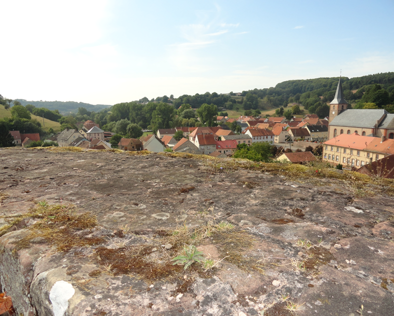 © Office de Tourisme  Château du weckersburg