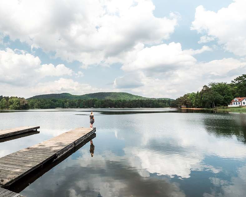 World else Réserve naturelle des rochers et tourbières du pays de Bitche