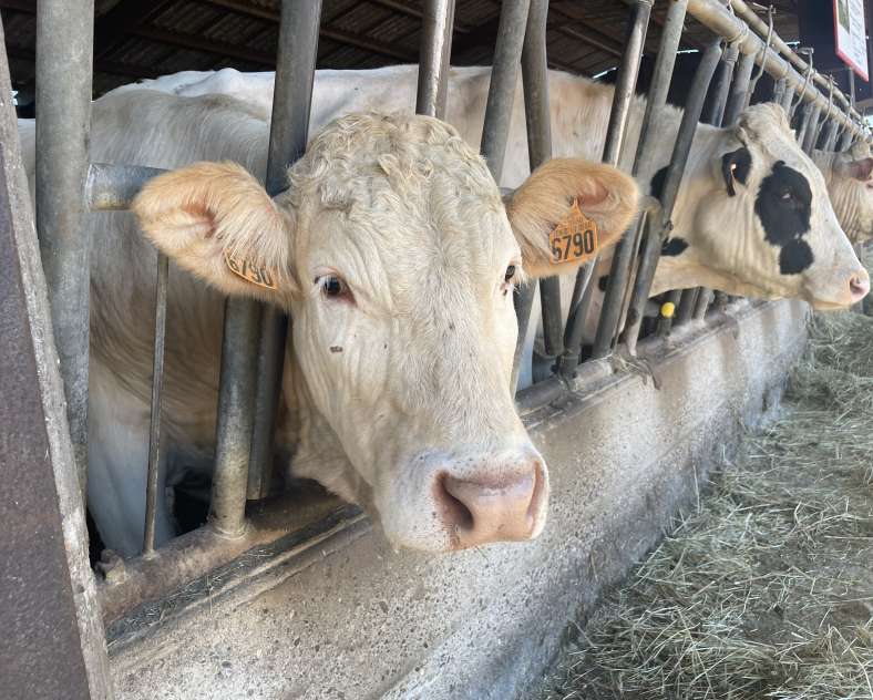 OTIPB  Ferme Lang