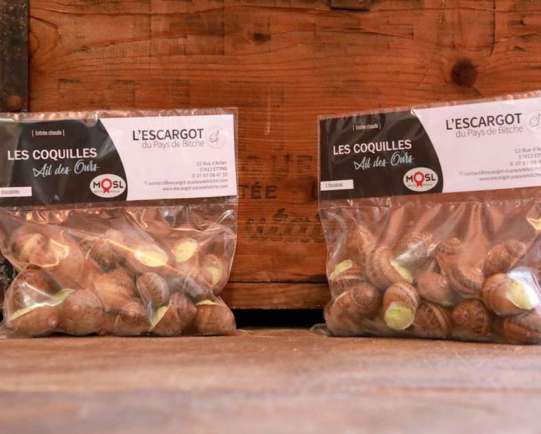 Ombres et Lumières Ferme hélicicole - l'escargot du Pays de Bitche