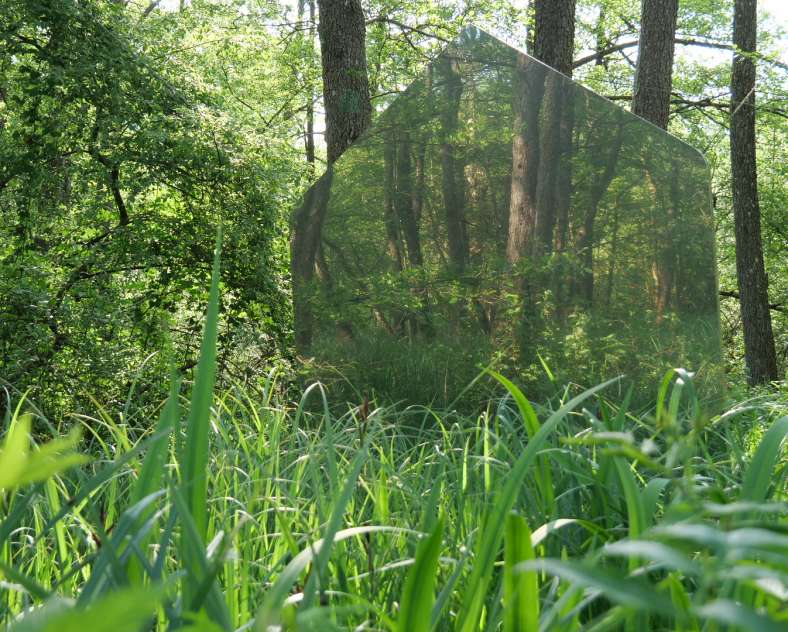 C.Romang-OTIPB  Sentier aux sculptures