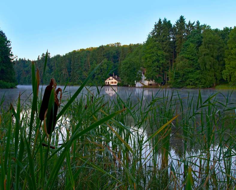 Emmanuel Stourm 2020
Licence Open Data  Sentier d'excellence 2 - autour de l'étang de Hasselfurth