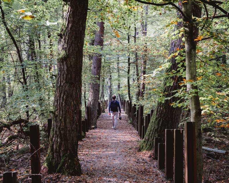 Lezbroz Sentier d'excellence 5 - autour des blocs de combats du Simserhof