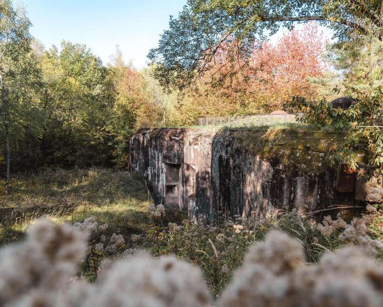 Lezbroz Sentier d'excellence 5 - autour des blocs de combats du Simserhof