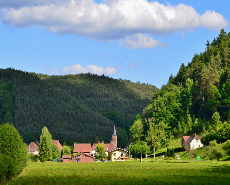 Didier BEHR Sentier d'excellence 9 - autour des moines de Sturzelbronn