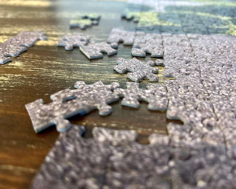 C. Romang _OTIPB Atelier puzzle participatif