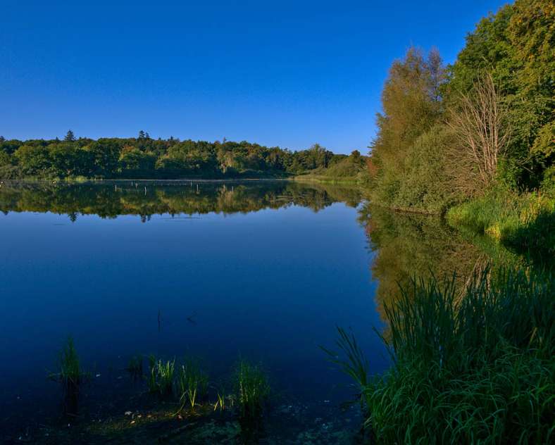 Emmanuel Stourm 2020
Licence Open Data  Sentier de l'étang des Essarts