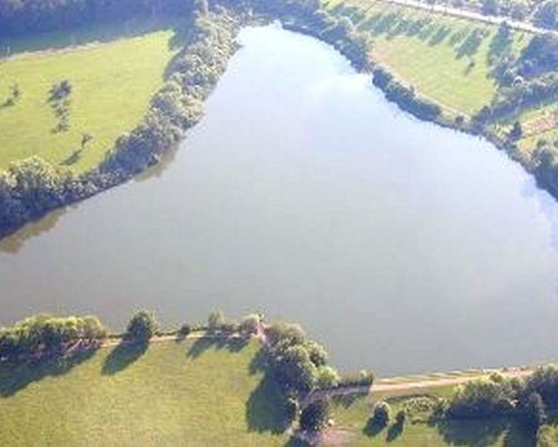 Ville de Dieuze  Sentier de l'étang des Essarts