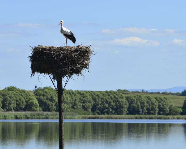 ©F.Doncourt Domaine de Lindre