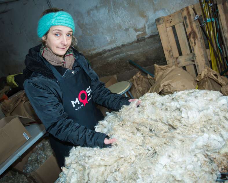 Gilles Dorschner Le mohair en Seille