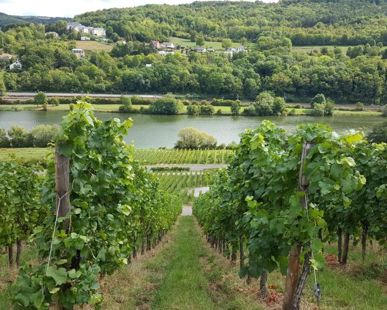 PTT  Chemin de la Moselle - de Thionville à Apach