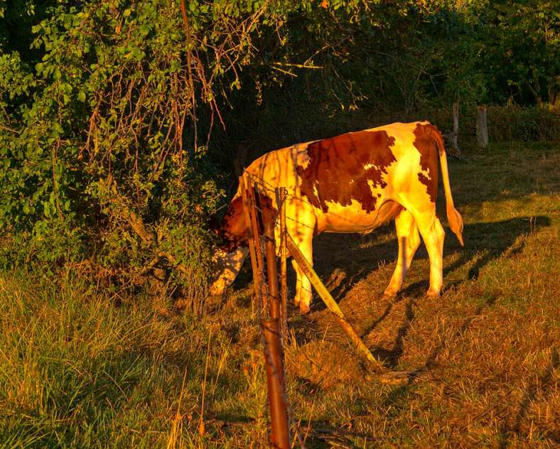 Emmanuel Stourm 2020
Licence Open Data Les coteaux du pays messin