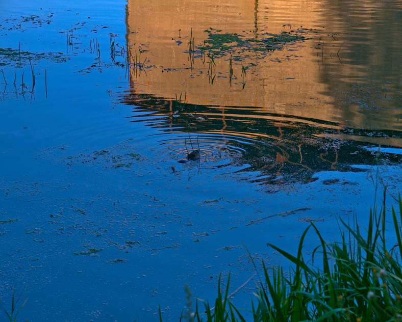 Emmanuel Stourm 2020
Licence Open Data Voie verte du pays de Pange