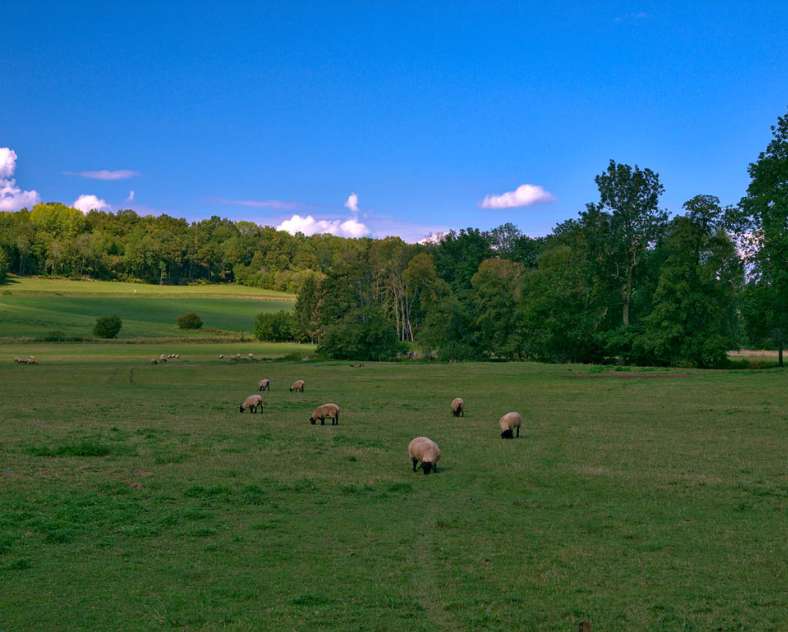 Emmanuel Stourm 2020
Licence Open Data Circuit des deux vallées par Vasperviller