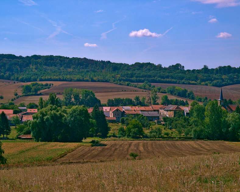 Emmanuel Stourm 2020
Licence Open Data La voie de 60