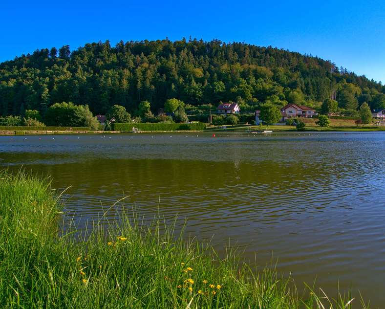 Emmanuel Stourm 2020
Licence Open Data Tour de Walscheid