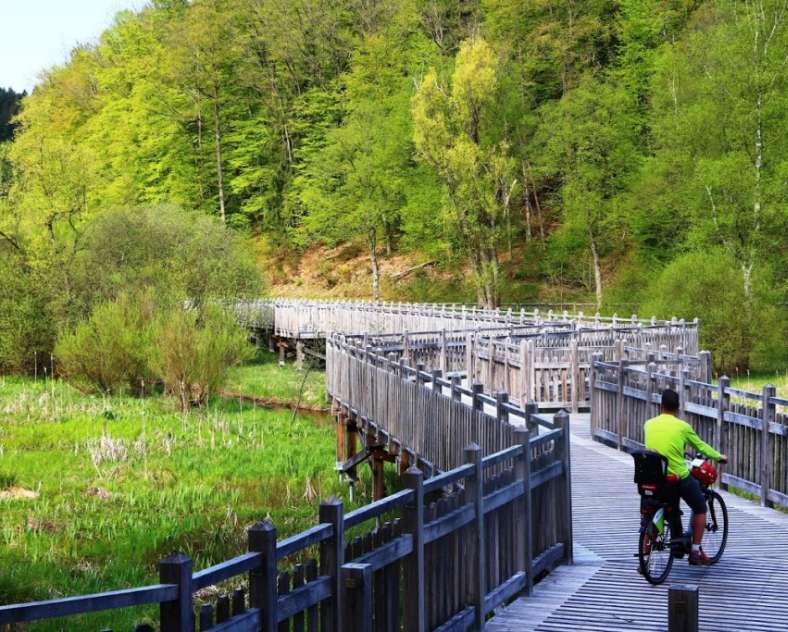 Céline Globetrekkeuse Véloroute du Pays de Bitche