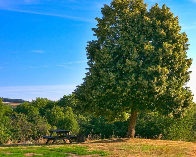 Emmanuel Stourm 2020 GR5G de Metz à Sarrebruck