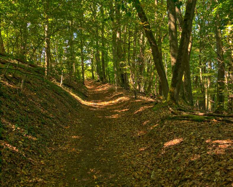 Emmanuel Stourm 2020 GR501 de Rombas à Plappeville