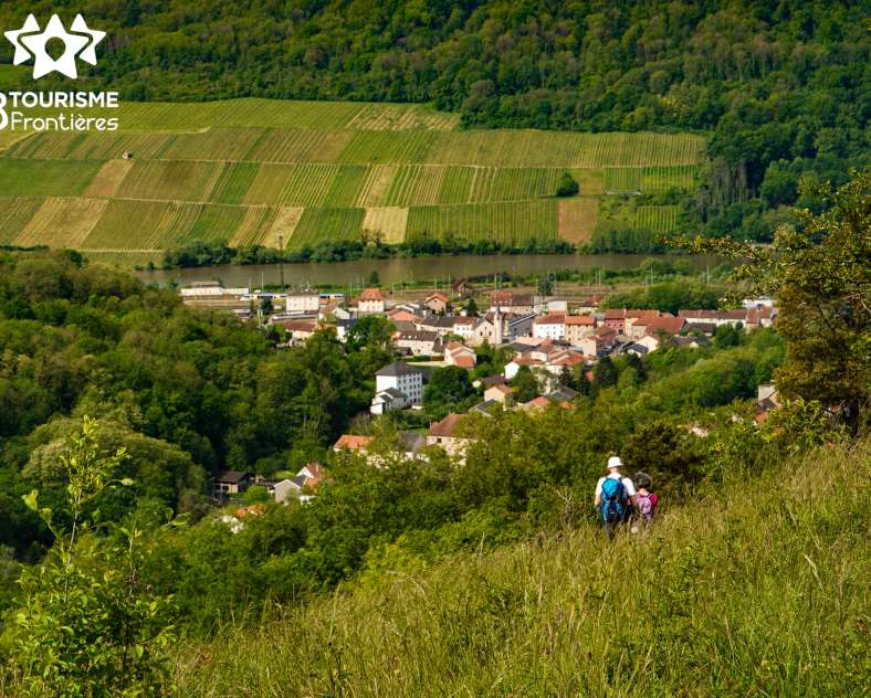 Trois Frontières Tourisme Circuit du Hammelsberg