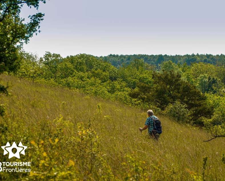 Trois Frontières Tourisme Circuit du Hammelsberg