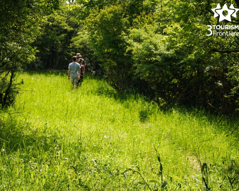 Trois Frontières Tourisme Circuit du Hammelsberg