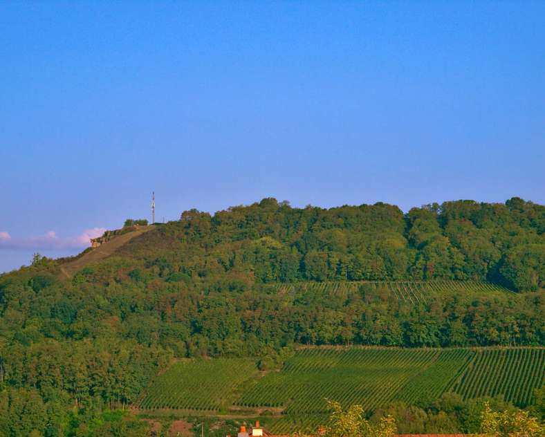 CIRCUIT DES COLLINES