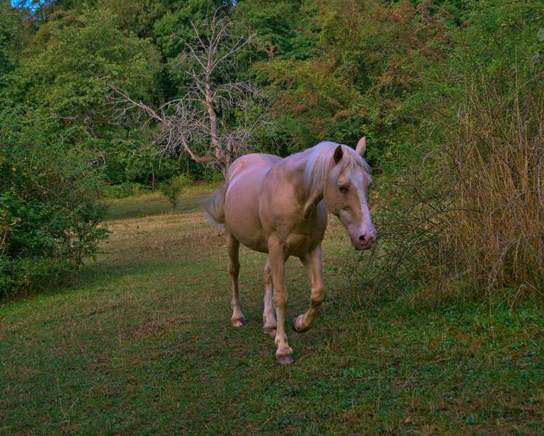 Emmanuel Stourm 2020
Licence Open Data Circuit de l'altenberg (fermé)