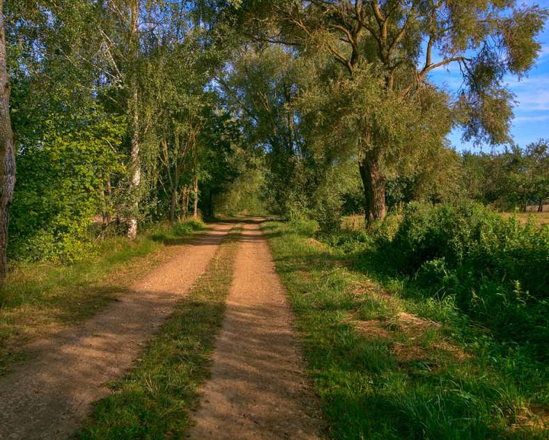 Emmanuel Stourm 2020
Licence Open Data  Circuit des châteaux