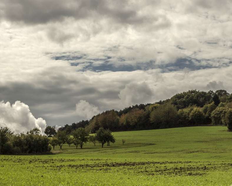 Pascale Meyer - Collection Moselle Attractivité Balade entre bois et jardins