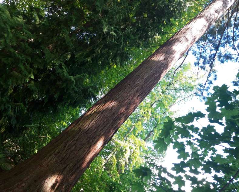 OT Saint-Avold Coeur de Moselle Circuit de la madone