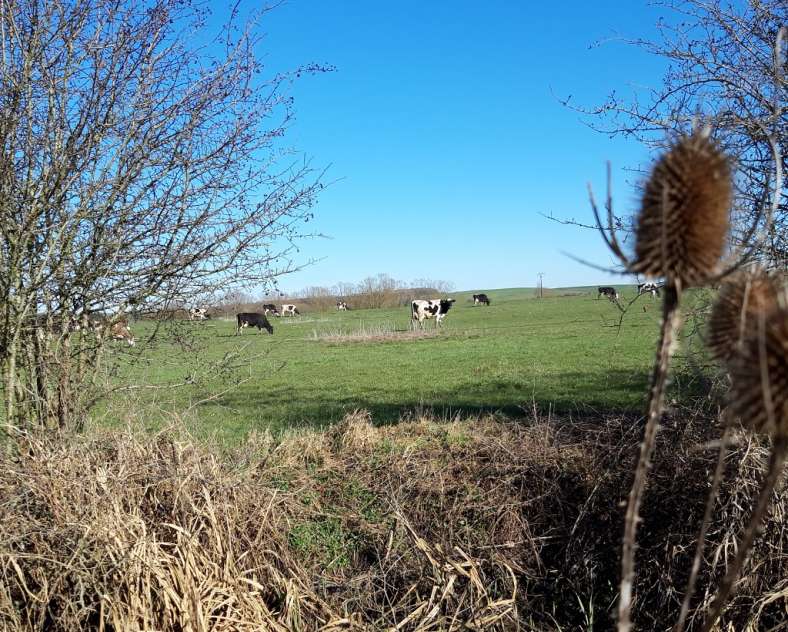 OT Saint-Avold Coeur de Moselle  Chemin des calvaires