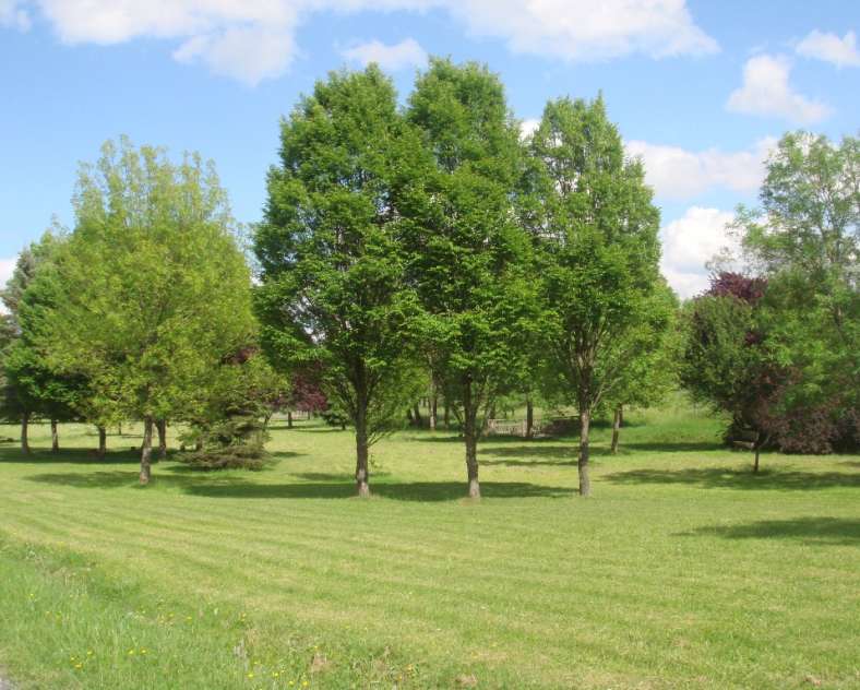 Communuauté de Communes du Pays des Etangs Circuit du petit étang