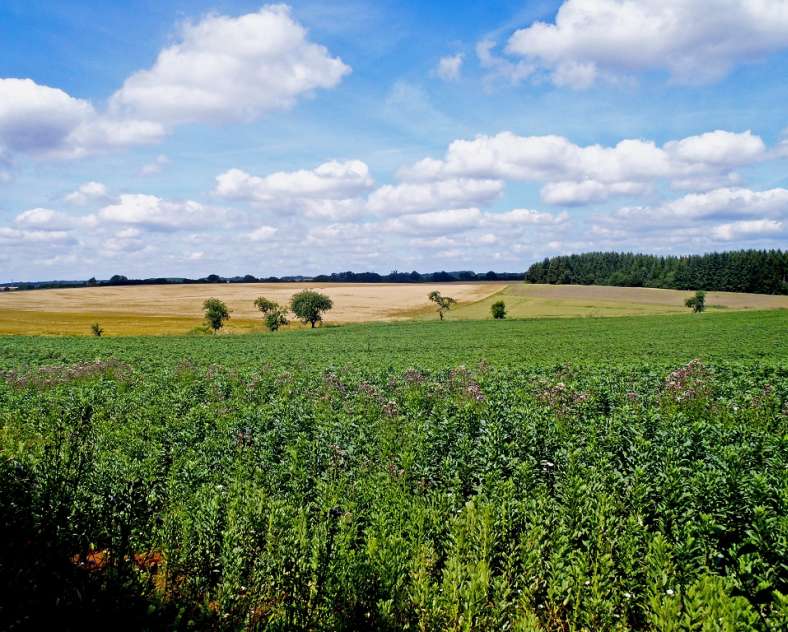 Communauté de Communes du Pays Haut Val d'Alzette Sentier minier