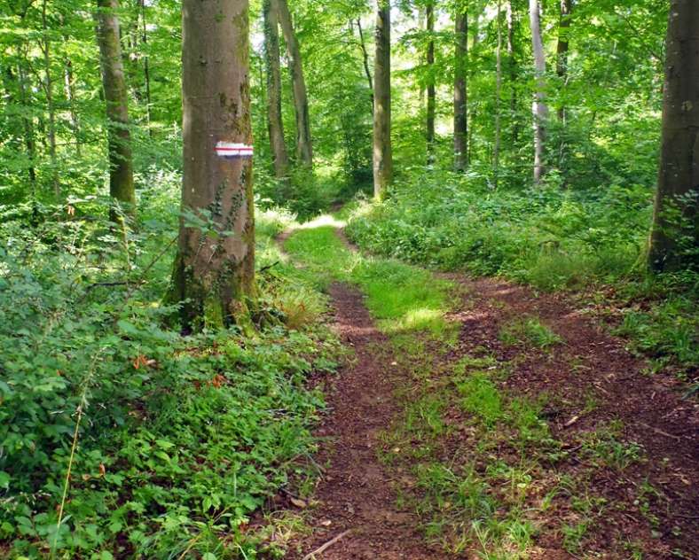 Communauté de Communes du Pays Haut Val d'Alzette Circuit autour du kayl