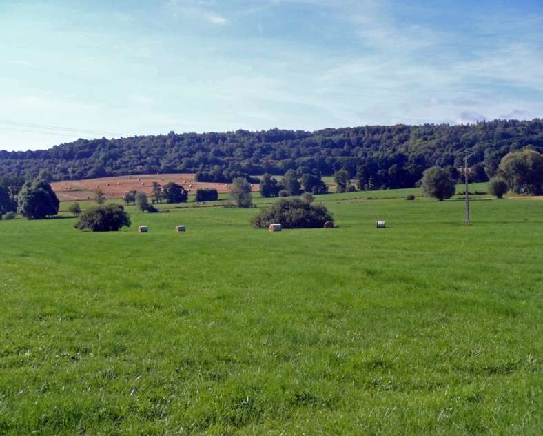 Communauté de Communes du Pays Haut Val d'Alzette Boucle de belval et de l'étang