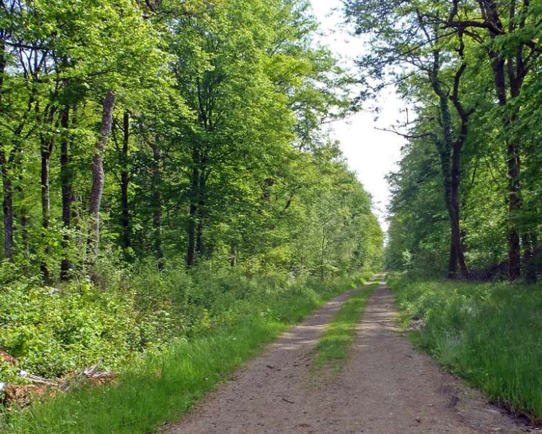 Communauté de Communes du Pays Haut Val d'Alzette Circuit du parc éolien