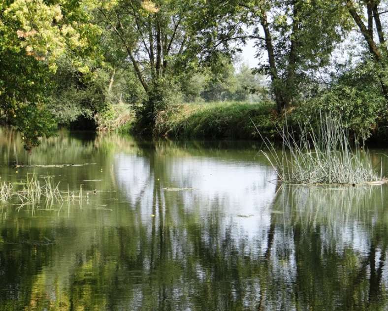 Daniel Bailly - Moselle Attractivité  Circuit Nied sans frontière