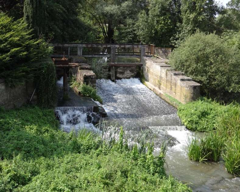 Daniel Bailly - Moselle Attractivité Circuit Le chant des ruisseaux