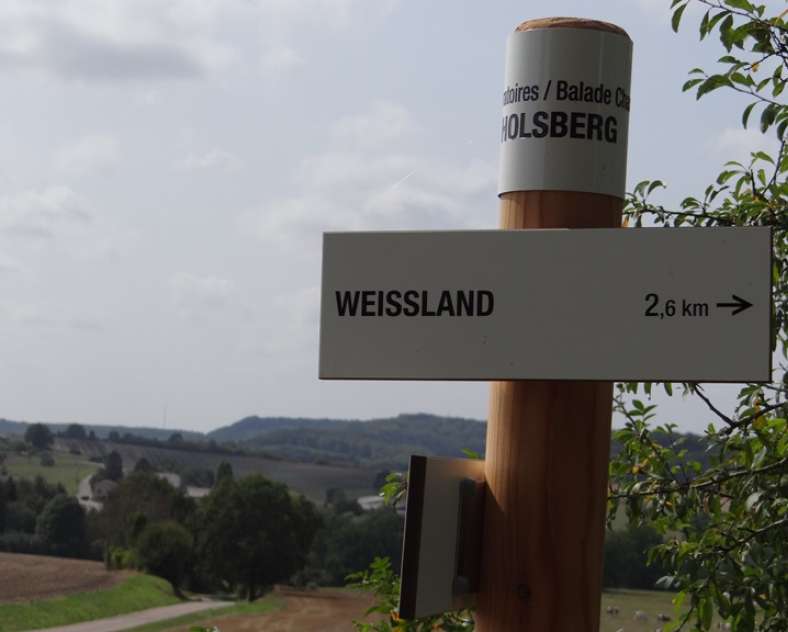 Daniel Bailly - Moselle Attractivité Circuit Balade champêtre